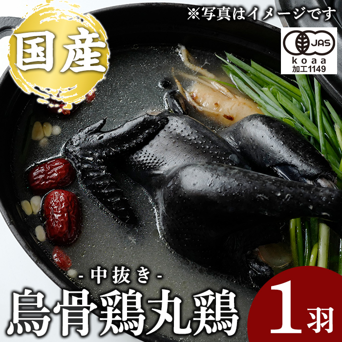 K-333 国産!オーガニック烏骨鶏丸鶏(中抜き)1羽【お多福たまご】霧島市 国産 九州産 鹿児島県産 烏骨鶏 うこっけい 鶏肉 鳥肉 鶏 とり 丸どり 無投薬 ワクチンフリー オーガニックチキン鹿