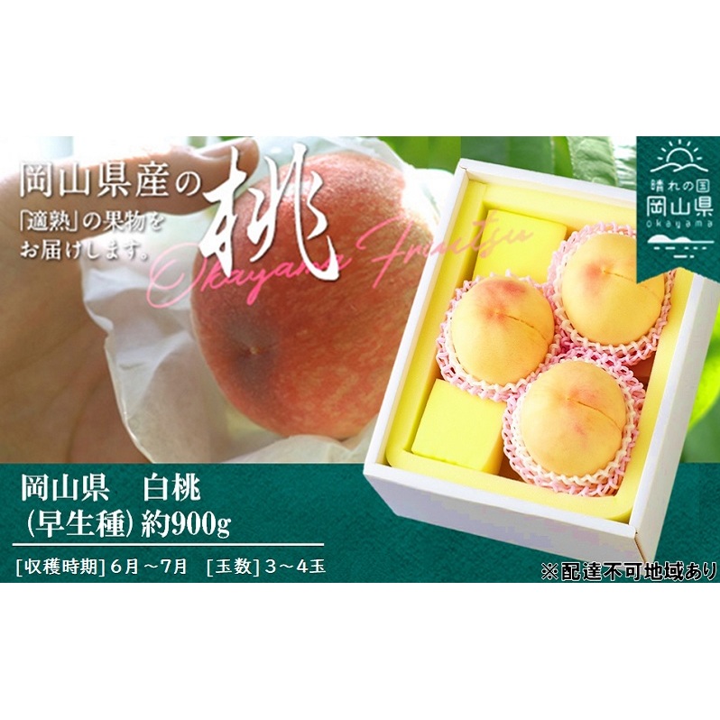 桃 2026年 先行予約 桃 早生種 約900g 3〜4玉 もも モモ 岡山県産 国産 フルーツ 果物 ギフト 岡山県玉野市17000果物・フルーツもも・すもも