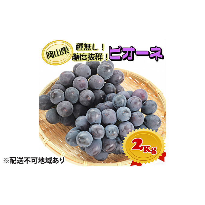 ぶどう 2026年 先行予約 ニュー ピオーネ【8月中旬〜順次発送分】約2kg(2房〜5房)秀品 糖度抜群! 種無し ブドウ 葡萄  岡山県産 国産 フルーツ 果物 ギフト 果物類 岡山県玉野市19000果物・