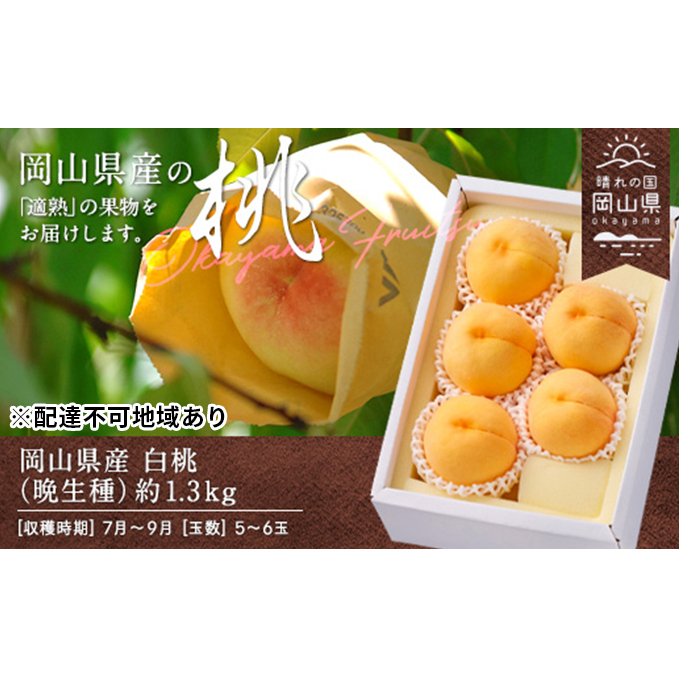 桃 2026年 先行予約 白桃 晩生種 約1.3kg 5〜6玉 もも モモ 岡山県産 国産 フルーツ 果物 ギフト 岡山県玉野市18000果物・フルーツもも・すもも