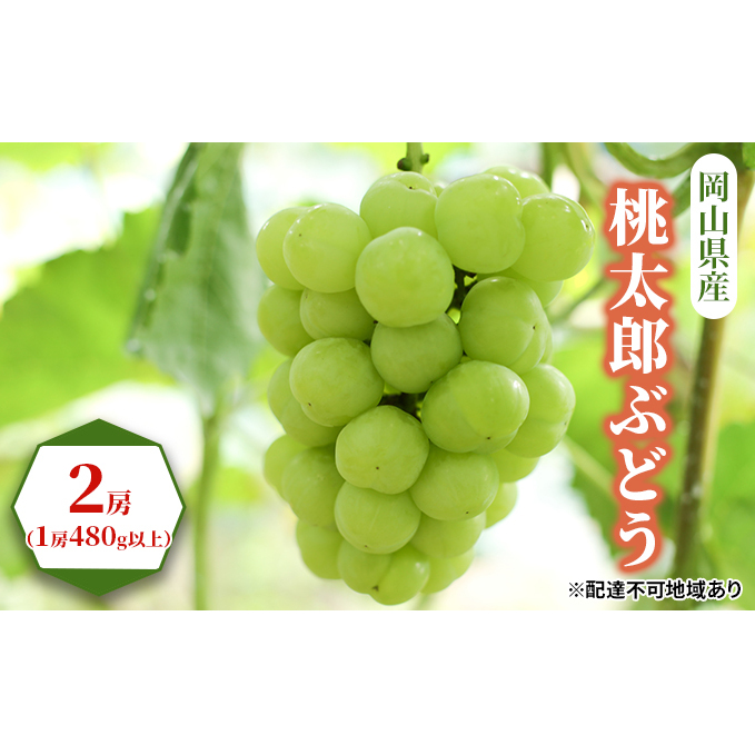 Ԃǂ 2025N s\ Y Ԃǂ 2[i1[480gȏj uhE   RY Y t[c ʕ Mtg Rʖs24000ʕEt[c}XJbgEԂǂ