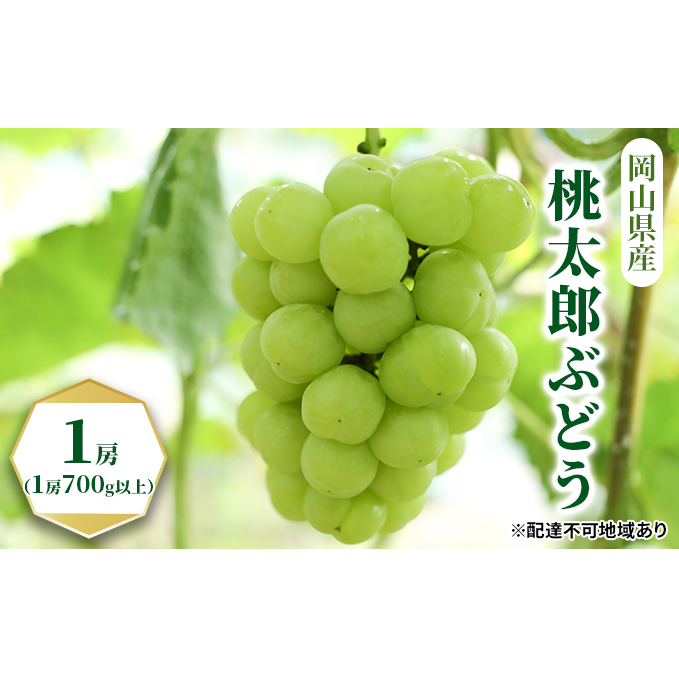 Ԃǂ 2025N s\ Y Ԃǂ 1[i1[700gȏjϔ  uhE   RY Y t[c ʕ Mtg ʕ Rʖs24000ʕEt[c}XJbgEԂǂ