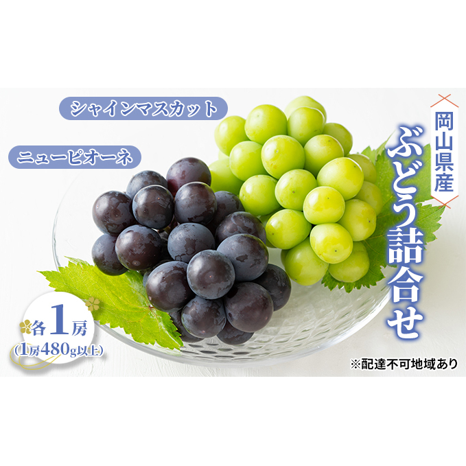 Ԃǂ 2025N s\ l j[ sI[l 1[i1[480gȏj VC }XJbg 1[i1[480gȏj uhE   RY Y t[c ʕ Mtg ʕ Rʖs20000ʕE