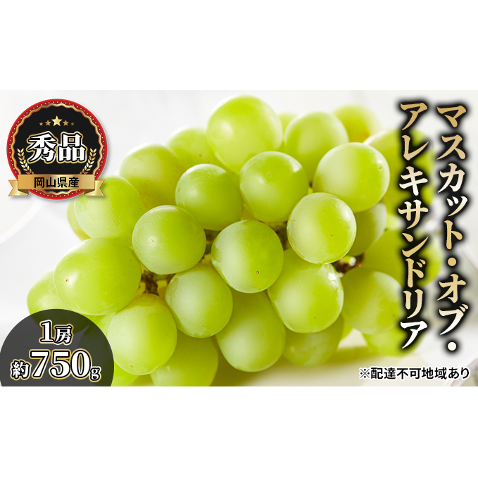 ぶどう 2025年 先行予約 マスカット・オブ・アレキサンドリア 秀品 1房約750g 化粧箱入り ブドウ 葡萄  岡山県産 国産 フルーツ 果物 ギフト 岡山県玉野市22000果物・フルーツマスカット・ぶど