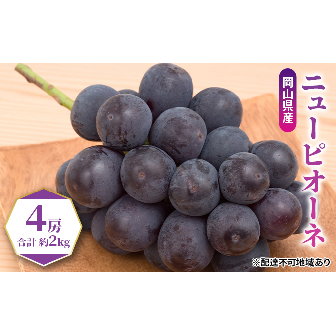 ぶどう 2025年 先行予約 ニュー ピオーネ 4房(合計約2kg) ブドウ 葡萄  岡山県産 国産 フルーツ 果物 ギフト 果物類 岡山県玉野市27000果物・フルーツマスカット・ぶどう