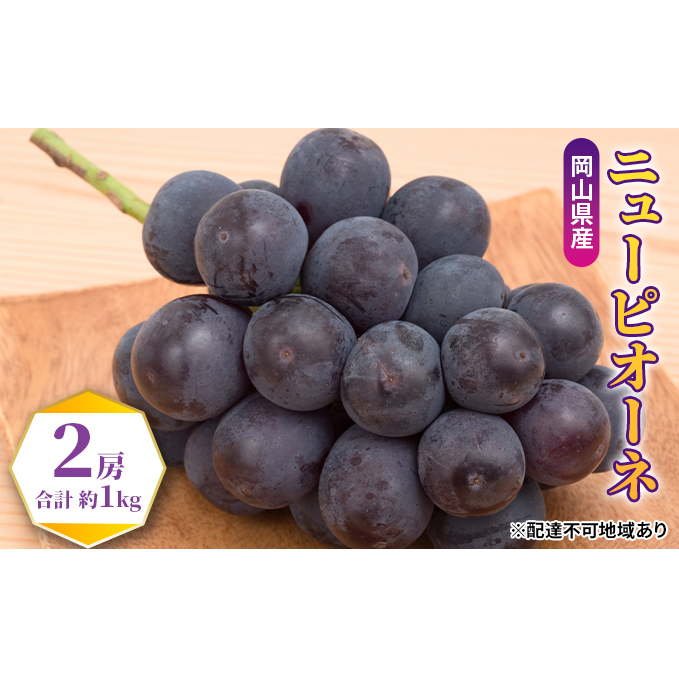 ぶどう 2025年 先行予約 ニュー ピオーネ 2房(合計約1kg) ブドウ 葡萄  岡山県産 国産 フルーツ 果物 ギフト 果物類 岡山県玉野市15000果物・フルーツマスカット・ぶどう