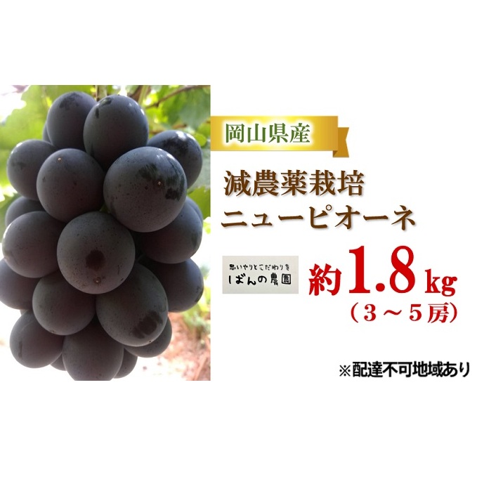 Ԃǂ 2025N s\ j[ sI[l 1.8kg 3`5[ _͔| uhE   RY Y t[c ʕ Mtg ΂̔_ Ȃ 햳Ԃǂ ʕ u₩ _ RN Rʖs22