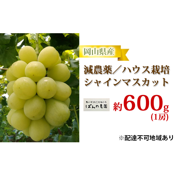 Ԃǂ 2025N s\ VC }XJbg 1[ 600g  _^nEX͔| uhE   RY Y t[c ʕ Mtg ΂̔_ ʕ Rʖs14000ʕEt[c}XJbg