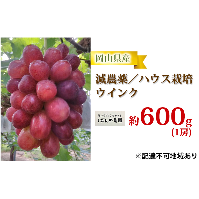 Ԃǂ 2025N s\ Ԃǂ ECN 1[ 600g  _^nEX͔| uhE   RY Y t[c ʕ Mtg ΂̔_ Ȃ Rʖs11000ʕEt[c}XJbgE