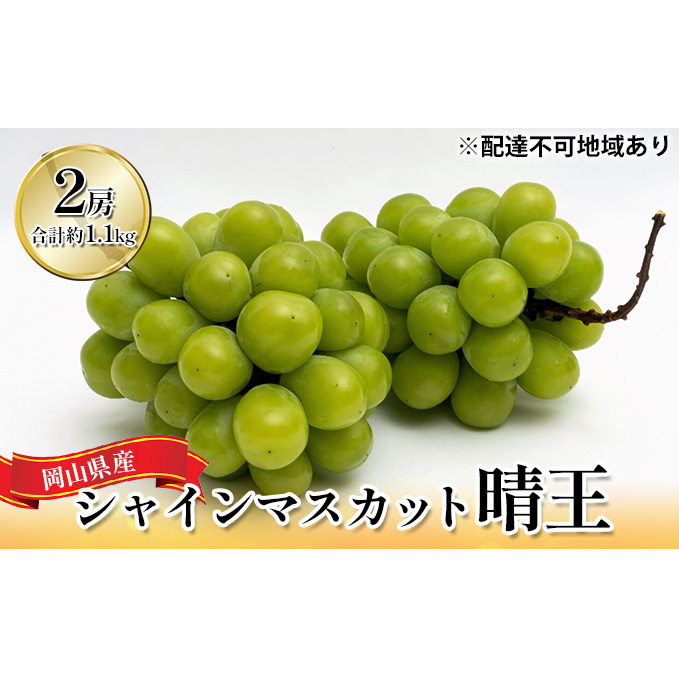 ぶどう 2025年 先行予約 シャイン マスカット 晴王 2房(合計約1.1kg)化粧箱入り マスカット ブドウ 葡萄  岡山県産 国産 フルーツ 果物 ギフト 果物類 大粒 1.1kg 岡山県玉野市28000果物・フルー