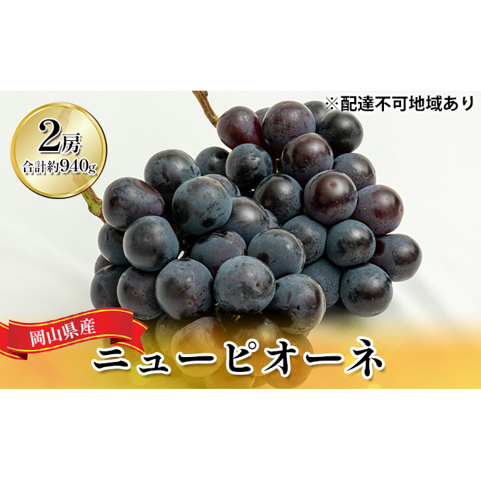 ぶどう 2025年 先行予約 ニュー ピオーネ 2房(合計約940g)化粧箱入り ブドウ 葡萄  岡山県産 国産 フルーツ 果物 ギフト  岡山県玉野市18000果物・フルーツマスカット・ぶどう