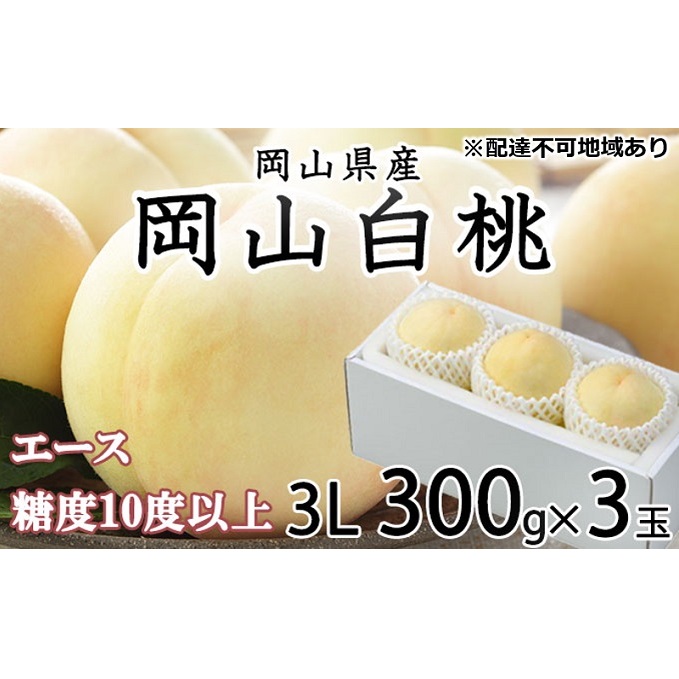  2026N s\ R  G[X 3×300gi3LTCYj JA  ̂iEj   RY Y t[c ʕ Mtg Â  Yn 蕨 x 