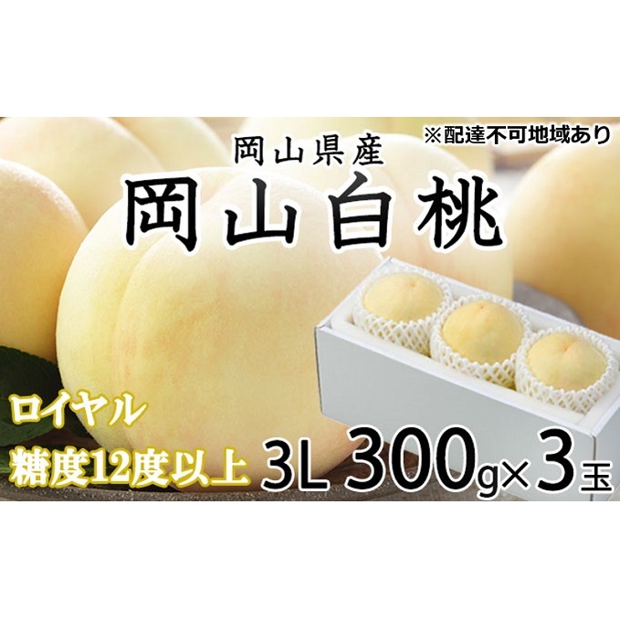 桃 2026年 先行予約 岡山 白桃 ロイヤル 3玉×約300g(3Lサイズ) JA おかやま のもも(早生種・中生種) もも モモ 岡山県産 国産 フルーツ 果物 ギフト 甘い 美味しい 産地直送 贈り物 高糖度