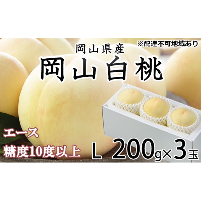 桃 2026年 先行予約 岡山 白桃 エース 3玉×約200g(Lサイズ) JA おかやま のもも(早生種・中生種) もも モモ 岡山県産 国産 フルーツ 果物 ギフト 甘い 美味しい 産地直送 贈り物 高糖度 岡山