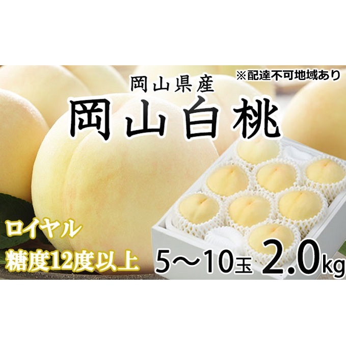 桃 2026年 先行予約 岡山 白桃 ロイヤル 5〜10玉 約2kg JAおかやまのもも(早生種・中生種) もも モモ 岡山県産 国産 フルーツ 果物 ギフト 甘い 美味しい 産地直送 贈り物 高糖度 岡山県玉野市