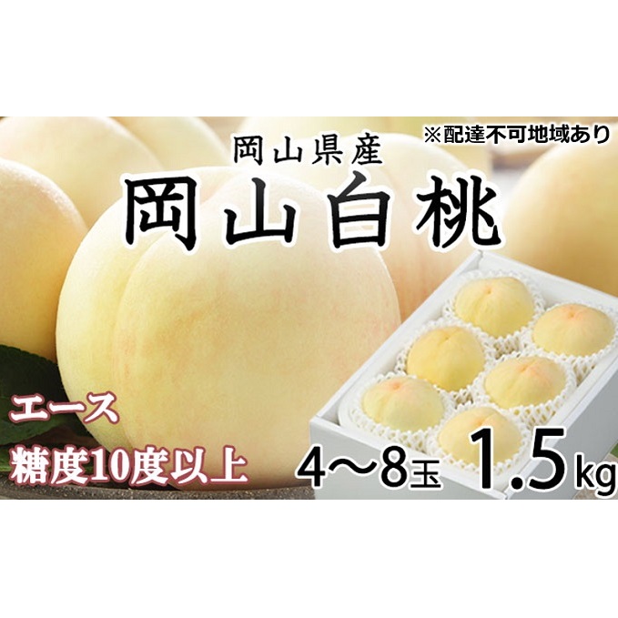 桃 2026年 先行予約 岡山 白桃 エース 4〜8玉 約1.5kg JA おかやま のもも(早生種・中生種) もも モモ 岡山県産 国産 フルーツ 果物 ギフト 甘い 美味しい 産地直送 贈り物 高糖度 岡山県玉野市