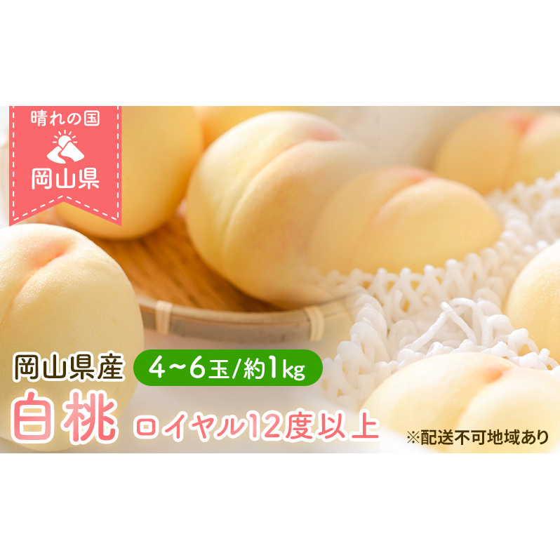 桃 2026年 先行予約 岡山 白桃 ロイヤル 4〜6玉 約1kg JA おかやま のもも(早生種・中生種) もも モモ 岡山県産 国産 フルーツ 果物 ギフト 岡山県玉野市15000果物・フルーツもも・すもも