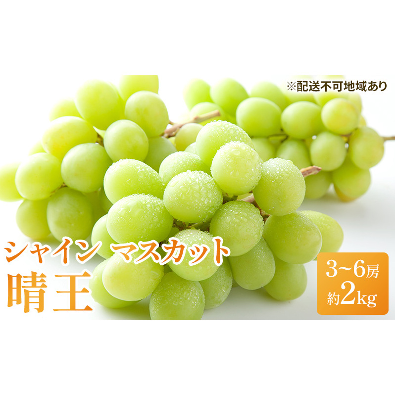 ぶどう 2026年 先行予約 シャイン マスカット 晴王 3房〜6房 約2kg ブドウ 葡萄  岡山県産 国産 フルーツ 果物 ギフト シャインマスカット 美しい 大粒 種なし 弾力 高糖度 甘い 岡山県玉野市4700