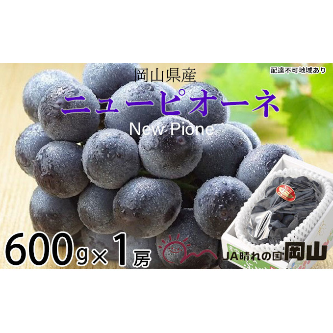 ぶどう 2026年 先行予約 ニュー ピオーネ 約600g×1房 ブドウ 葡萄  岡山県産 国産 フルーツ 果物 ギフト 果物類 ニューピオーネ 酸味 大粒 種なし 人気 高糖度 甘い 果汁 岡山県玉野市16000果物・