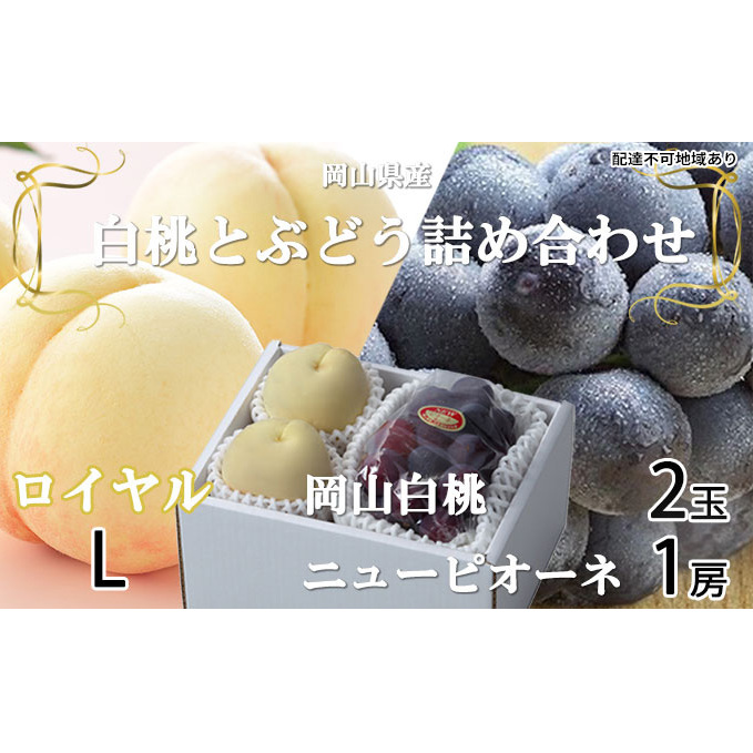 桃 ぶどう 2026年 先行予約 岡山 白桃 ロイヤル 2玉×約200g(Lサイズ、早生種・中生種)ニュー ピオーネ 1房約400g  詰め合わせ 岡山県産 フルーツ 岡山県玉野市20000果物・フルーツその他 果物
