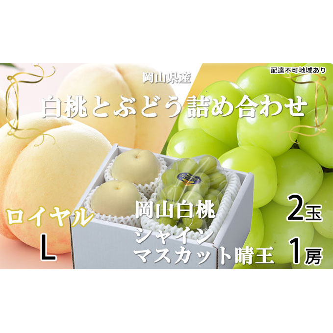 桃 ぶどう 2026年 先行予約 岡山 白桃 ロイヤル 2玉×約200g(Lサイズ、早生種・中生種)シャイン マスカット 晴王 1房約400g  詰め合わせ 岡山県産 フルーツ 岡山県玉野市25000果物・フルーツそ