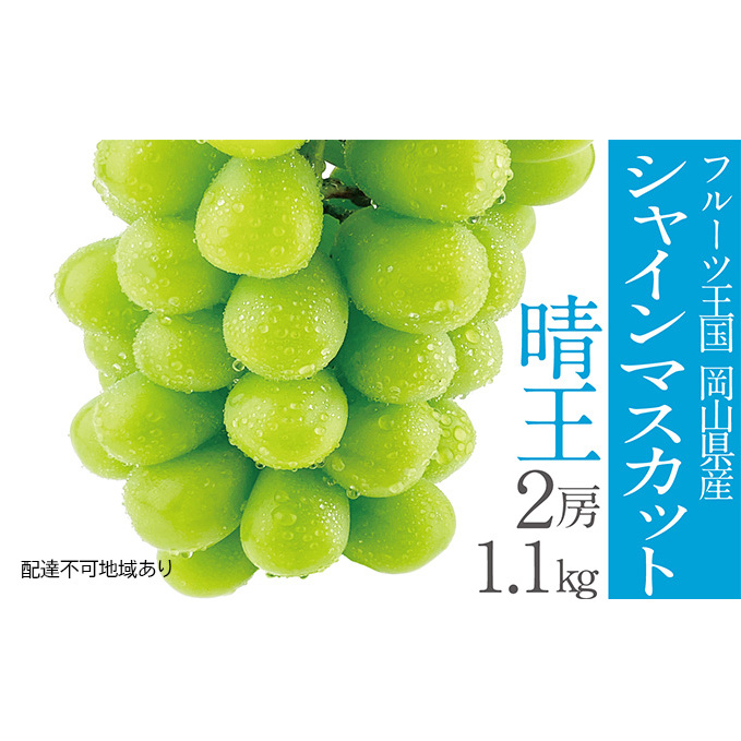ぶどう 2025年 先行予約 シャイン マスカット 晴王 2房(合計約1.1kg) 晴れの国 おかやま 岡山県産 フルーツ王国 果物王国 岡山県玉野市33000果物・フルーツマスカット・ぶどう