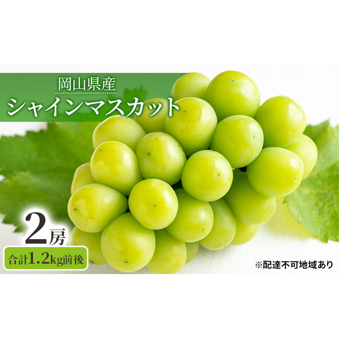 VC}XJbg 2[ v1.2kgO RY  Ԃǂ ʕ t[c 2023N s\ fU[g  嗱  x Ȃ pb e H 炲 Rʖs28000ʕEt[c