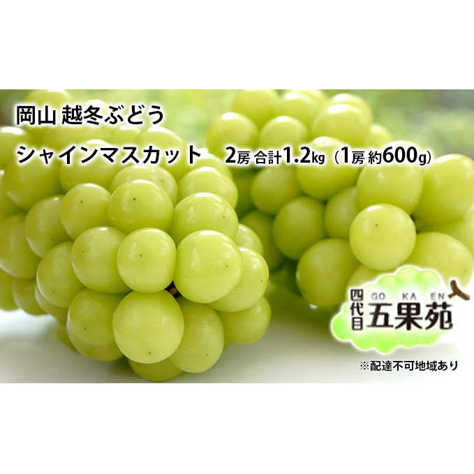 越冬 ぶどうシャイン マスカット 2房 合計1.2kg(1房 約600g)岡山県産 四代目 五果苑 果物類 フルーツ 糖度20度 甘い 種なし 皮ごと 詰め合わせセット 低温貯蔵 岡山県玉野市30000果物・フルー