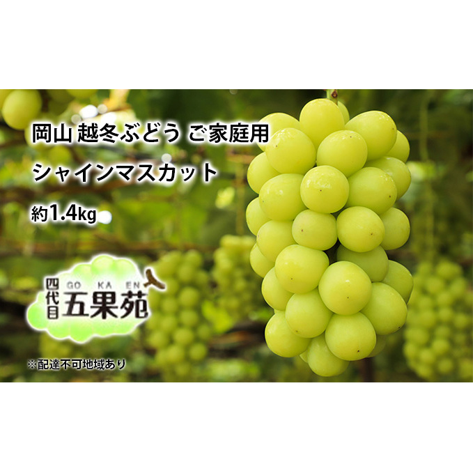 z~ Ԃǂ ƒp VC }XJbg 1.4kg   RY l ܉ʉ ʕ Rʖs36000ʕEt[c}XJbgEԂǂ
