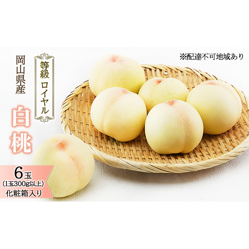 桃 2026年 先行予約 白桃 6玉(1玉300g以上)等級: ロイヤル 化粧箱入り もも モモ 岡山県産 国産 フルーツ 果物 ギフト  最高等級品 糖度12.0度以上 芳潤な香り贈答用 果汁滴る 岡山県玉野市750