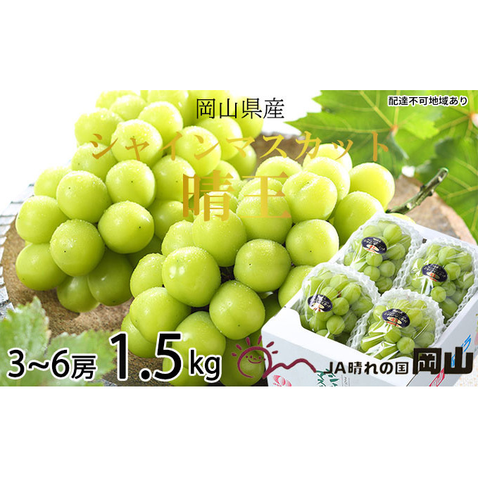 Ԃǂ 2025N s\ VC }XJbg  3[`6[ 1.5kg  uhE   RY Y t[c ʕ Mtg ʕ Rʖs24000ʕEt[c}XJbgEԂǂ