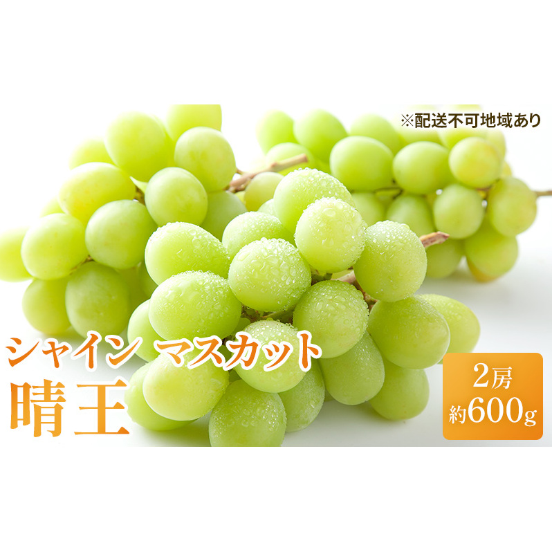 ぶどう 2025年 先行予約 シャイン マスカット 晴王 約600g×2房 ブドウ 葡萄  岡山県産 国産 フルーツ 果物 ギフト 果物類 岡山県玉野市21000果物・フルーツマスカット・ぶどう