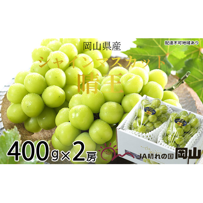 ぶどう 2025年 先行予約 シャイン マスカット 晴王 約400g×2房 ブドウ 葡萄  岡山県産 国産 フルーツ 果物 ギフト 果物類 岡山県玉野市14000果物・フルーツマスカット・ぶどう