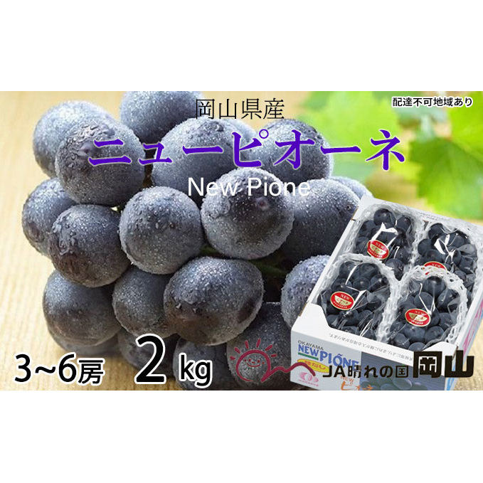 ぶどう 2025年 先行予約 ニュー ピオーネ 3房〜6房 約2kg ブドウ 葡萄  岡山県産 国産 フルーツ 果物 ギフト 果物類 岡山県玉野市21000果物・フルーツマスカット・ぶどう