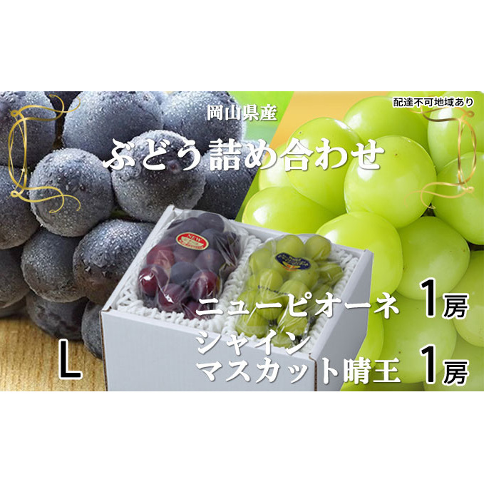 Ԃǂ 2025N s\ j[ sI[l 1[ 400g VC }XJbg  1[ 400g lߍ킹 RY Y t[c ʕ Mtg Rʖs18000ʕEt[c}XJbgEԂǂ
