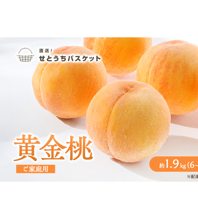桃 2025年 先行予約 岡山 黄金桃 ご家庭用 約1.9kg 6〜9玉入り もも モモ 岡山県産 国産 フルーツ 果物 直送!せとうちバスケット スイーツ こだわり 特産品 白い 香り 果汁 シーズン 濃厚 岡山