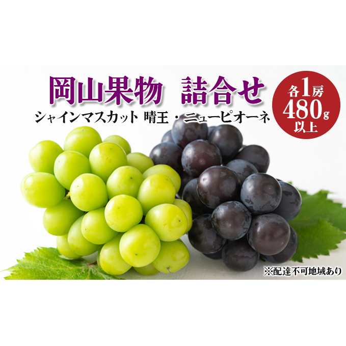 ぶどう 2024年 先行予約 果物 詰合せ ニュー ピオーネ 1房 480g以上/ シャイン マスカット 1房 晴王 480g以上 化粧箱入り ブドウ 葡萄  岡山県産 国産 フルーツ 果物 ギフト 果物類 岡山県玉野市2