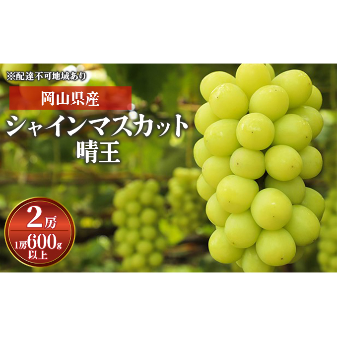 Ԃǂ 2024N s\ VC }XJbg  2[i1[ 600gȏjϔ uhE   RY Y t[c ʕ Mtg Rʖs24000ʕEt[c}XJbgEԂǂ