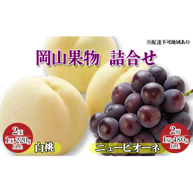 桃 ぶどう 2024年 先行予約 岡山果物 詰合せ 白桃 2玉(1玉 220g以上)/ ニュー ピオーネ 2房(1房 480g以上)化粧箱入り もも 葡萄 岡山県産 国産 フルーツ 果物 ギフト 岡山県玉野市27000果物・