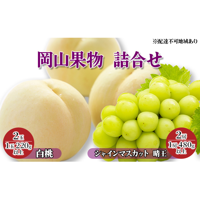 桃 ぶどう 2024年 先行予約 岡山果物 詰合せ 白桃 2玉(1玉 220g以上)/ シャイン マスカット 晴王 2房(1房 480g以上)化粧箱入り もも 葡萄 岡山県産 国産 フルーツ 果物 ギフト 岡山県玉野市35