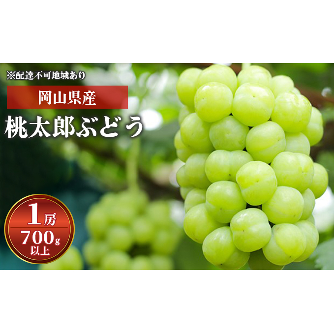 ぶどう 2024年 先行予約 桃太郎 ぶどう 1房 700g以上 化粧箱入り ブドウ 葡萄  岡山県産 国産 フルーツ 果物 ギフト 岡山県玉野市25000果物・フルーツマスカット・ぶどう