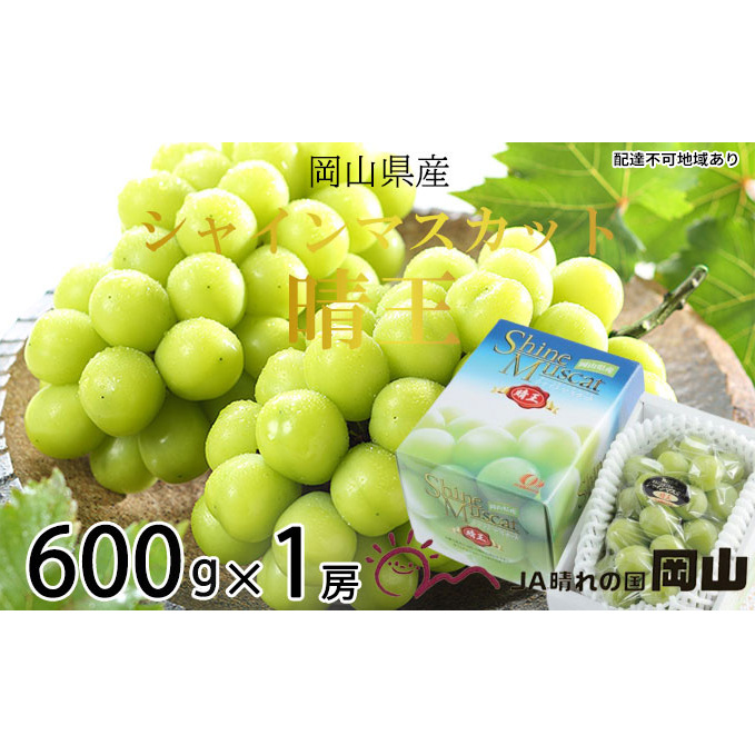 Ԃǂ 2025N s\ VC }XJbg  600g×1[ uhE   RY Y t[c ʕ Mtg H fU[g 嗱 x Ȃ 炲  Rʖs12000ʕEt
