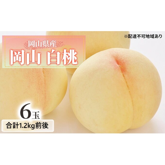 桃 2026年 先行予約 白桃 6玉入り 合計1.2kg前後 もも モモ 岡山県産 国産 フルーツ 果物 ギフト デザート 芳醇な香り 岡山の桃 岡山県玉野市24000果物・フルーツもも・すもも