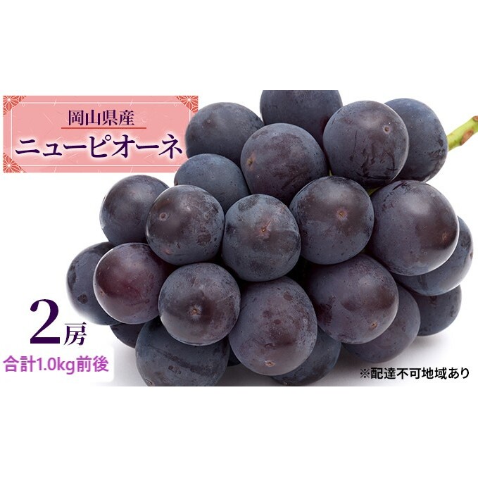 ぶどう 2026年 先行予約 ニュー ピオーネ 2房 合計1.0kg前後 ブドウ 葡萄  岡山県産 国産 フルーツ 果物 ギフト デザート 食後 種なし 大粒 甘みが強い 酸味 バランス 岡山県玉野市29000果物・フ