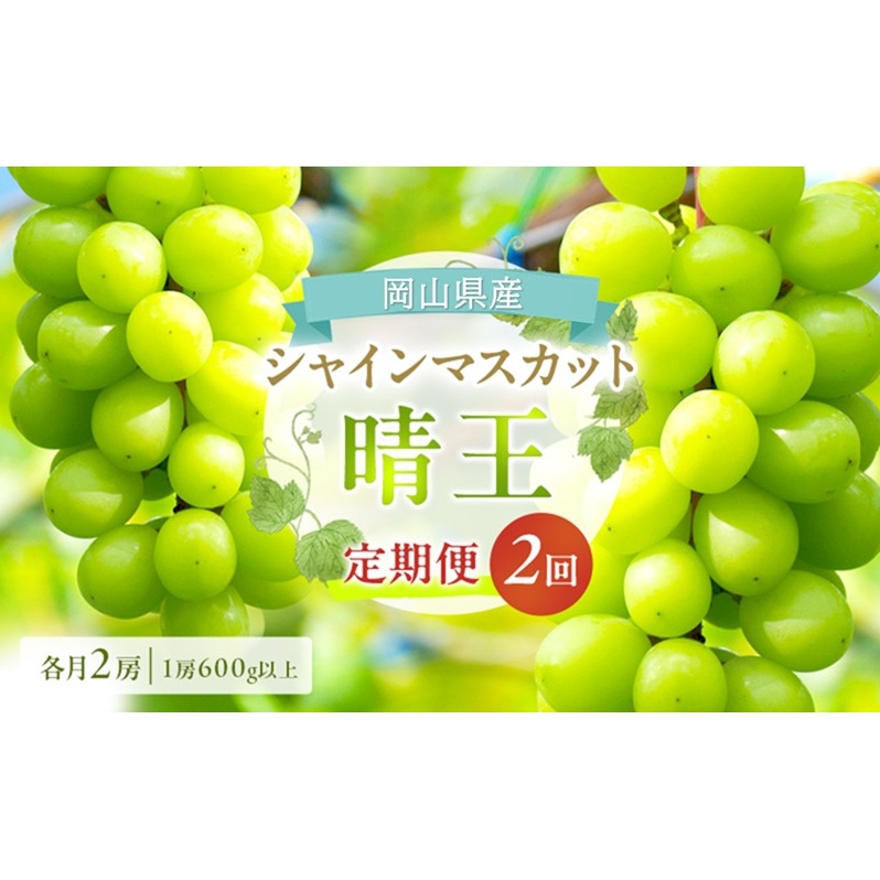 ぶどう 定期便 2026年 先行予約 シャイン マスカット 晴王 各月2房(1房600g以上) 2回コース マスカット ブドウ 葡萄  岡山県産 国産 フルーツ 果物 ギフト 上品な香り 最高級 大粒 種なし 岡山