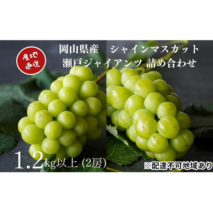 I VC}XJbgE˃WCAc 2[ v1.2kgȏ l Yn ̂ Ԃǂ  Kawahara Green Farm RY 2025N ʕ t[c R̃uhE fU[g Hו Y {Y