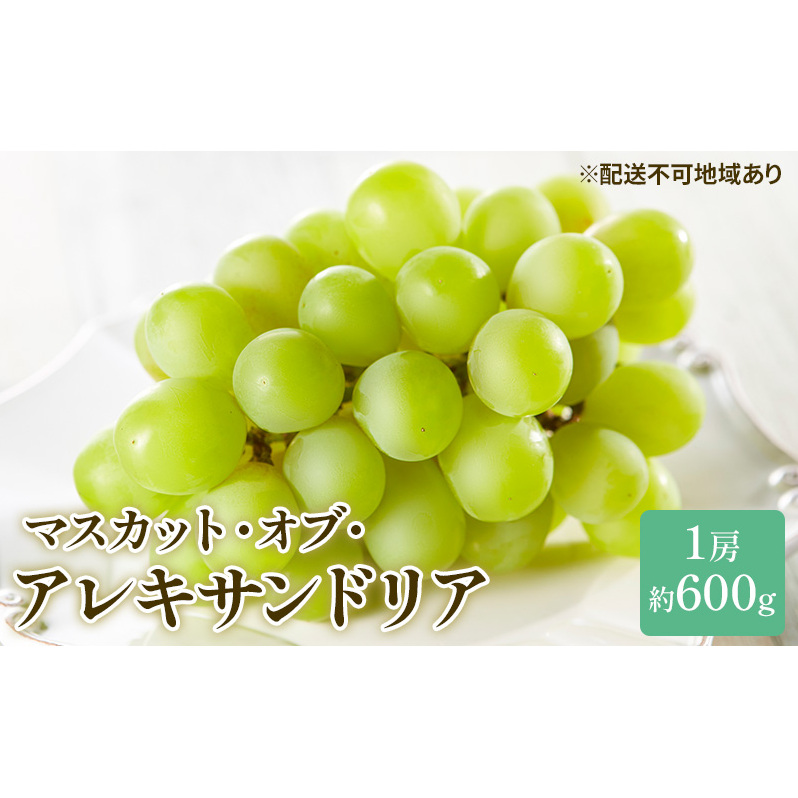 ぶどう 2025年 先行予約 マスカット ・オブ・アレキサンドリア 約600g×1房 ブドウ 葡萄  岡山県産 国産 フルーツ 果物 ギフト 岡山のブドウ デザート 食べ物 日本産 岡山県玉野市12000果物・フ