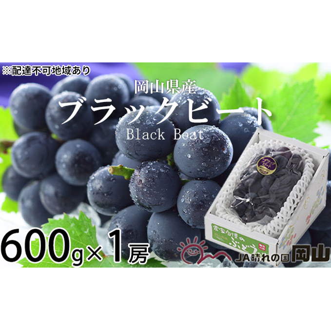 ぶどう 2025年 先行予約 ブラックビート 約600g×1房 ブドウ 葡萄  岡山県産 国産 フルーツ 果物 ギフト 岡山のブドウ デザート 食べ物 日本産 岡山県玉野市12000果物・フルーツマスカット・ぶど