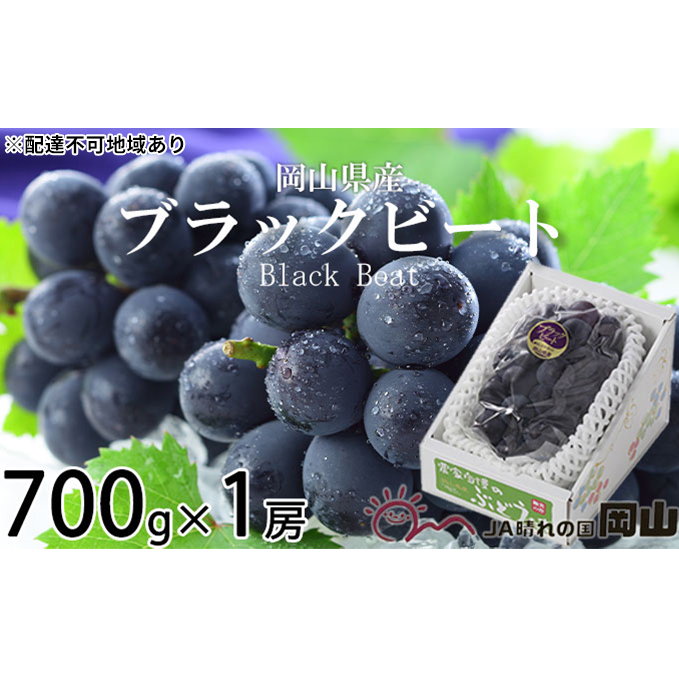 ぶどう 2025年 先行予約 ブラックビート 約700g×1房 ブドウ 葡萄  岡山県産 国産 フルーツ 果物 ギフト 岡山のブドウ デザート 食べ物 日本産 岡山県玉野市14000果物・フルーツマスカット・ぶど