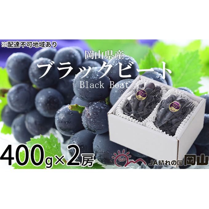 ぶどう 2025年 先行予約 ブラックビート 約400g×2房 ブドウ 葡萄  岡山県産 国産 フルーツ 果物 ギフト 岡山のブドウ デザート 食べ物 日本産 岡山県玉野市12000果物・フルーツマスカット・ぶど